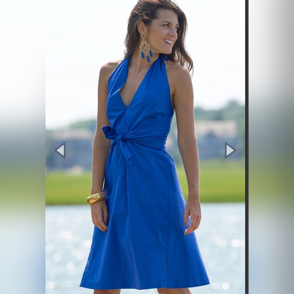 Derek Lam blue dress